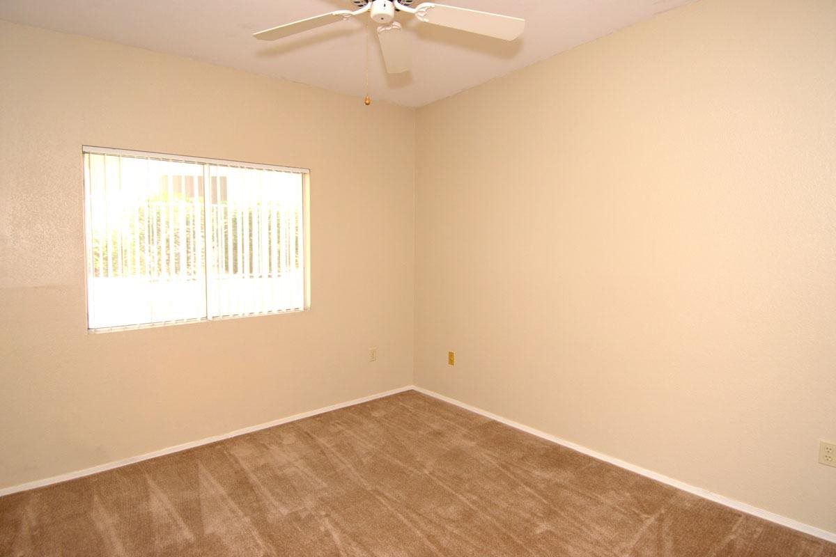 Gallery Photo 54