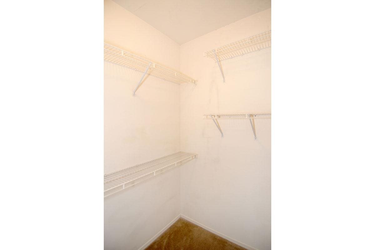 Gallery Photo 53
