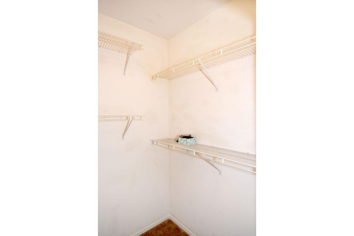 Gallery Photo 52