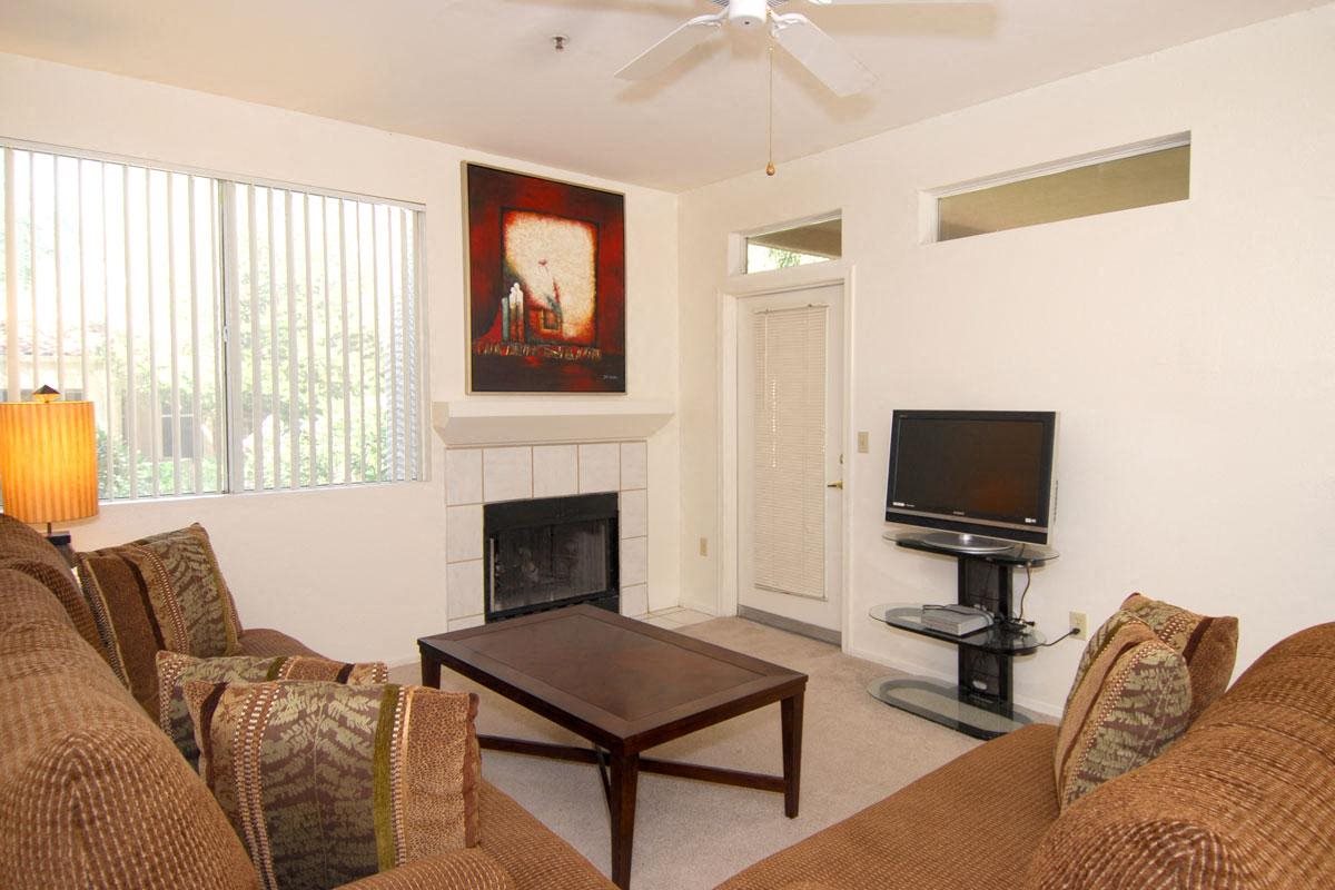Gallery Photo 49