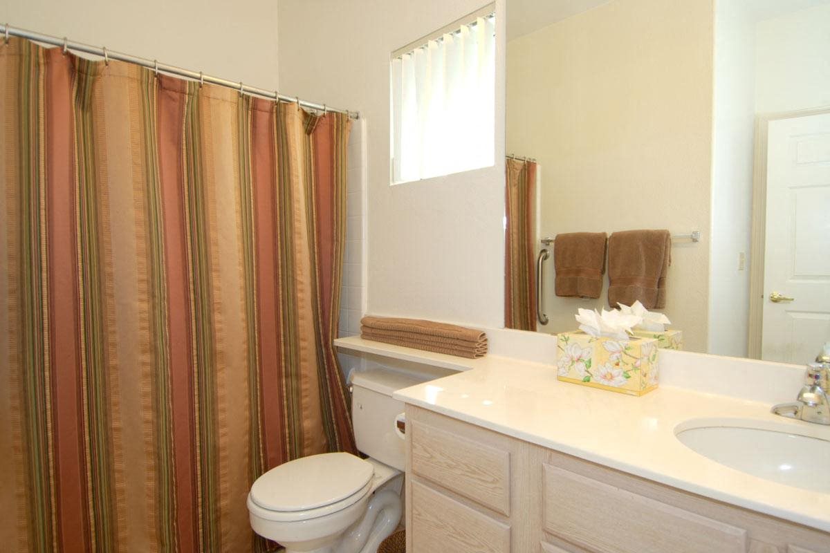 Gallery Photo 48