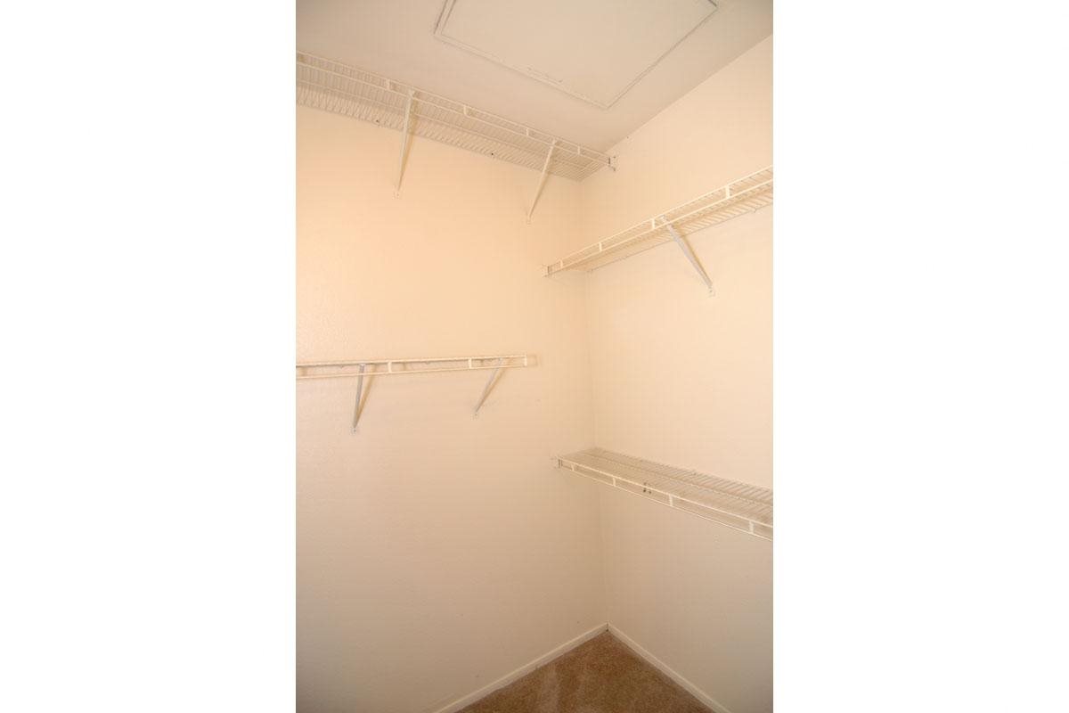 Gallery Photo 46