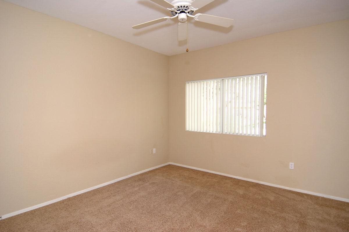 Gallery Photo 44