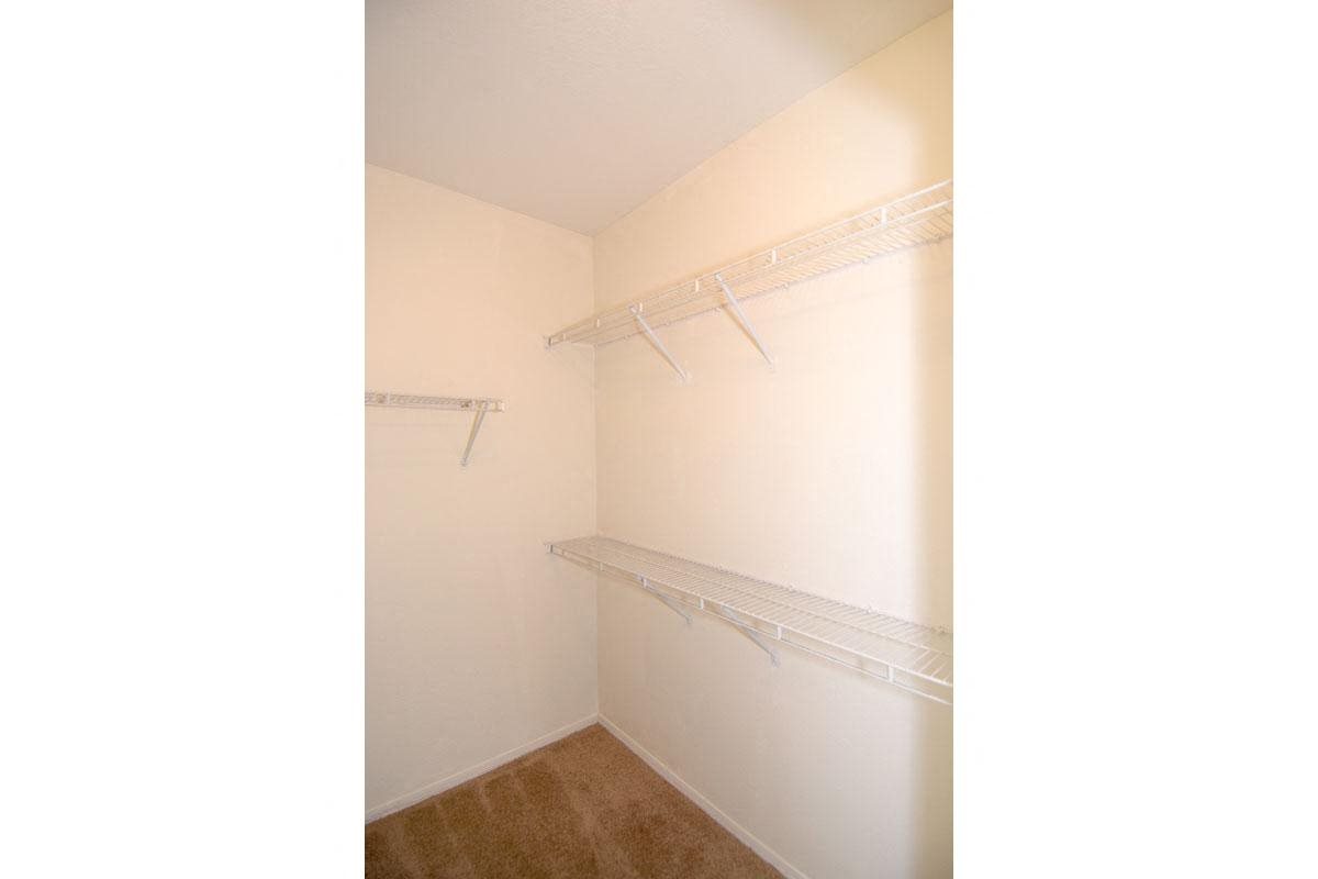 Gallery Photo 43