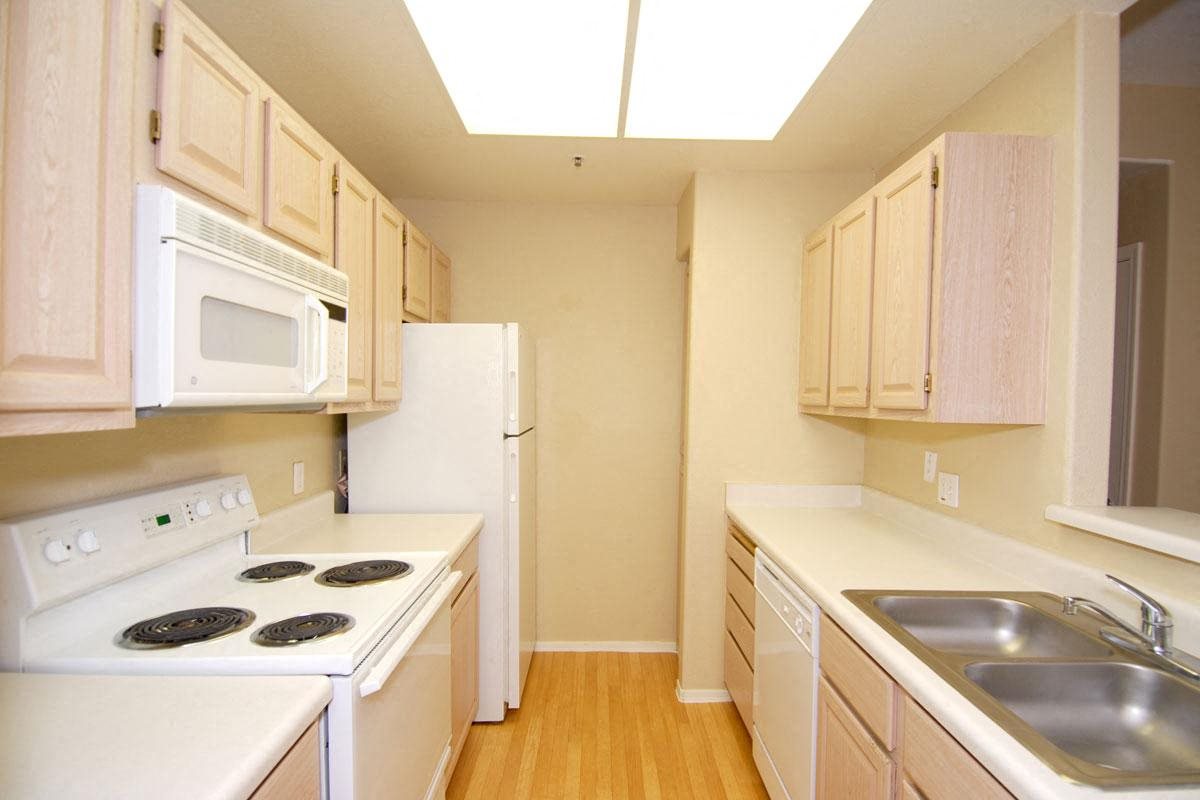 Gallery Photo 37