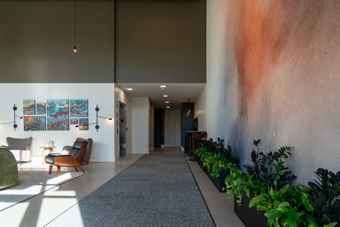 A hallway with a rug and a plant on the side.