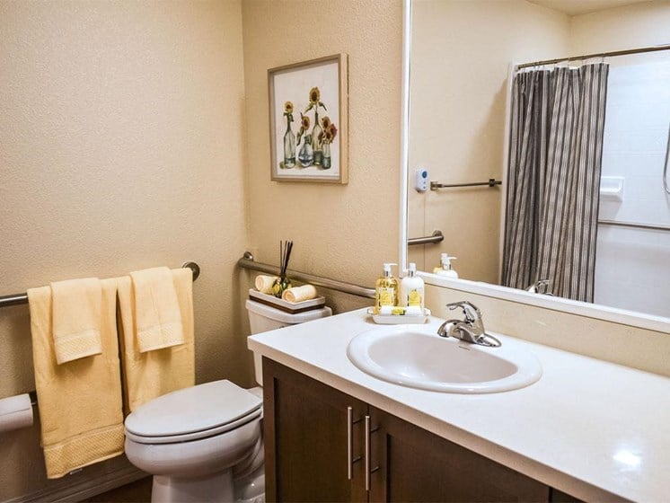 Luxurious Bathrooms at Westmont of Milpitas, Milpitas, CA