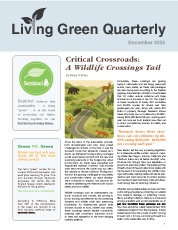 December 2025 Newsletters