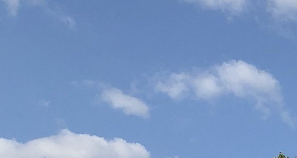 can i get a cash advance on my venmo debit card