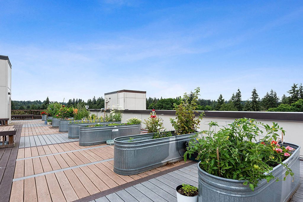 Rooftop garden at Cedar Park Apartments in Seattle WA