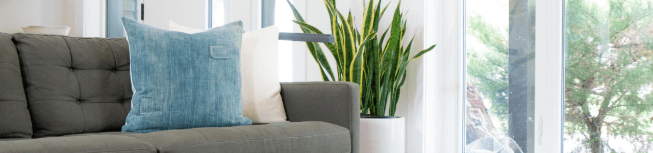 Couch Banner Image
