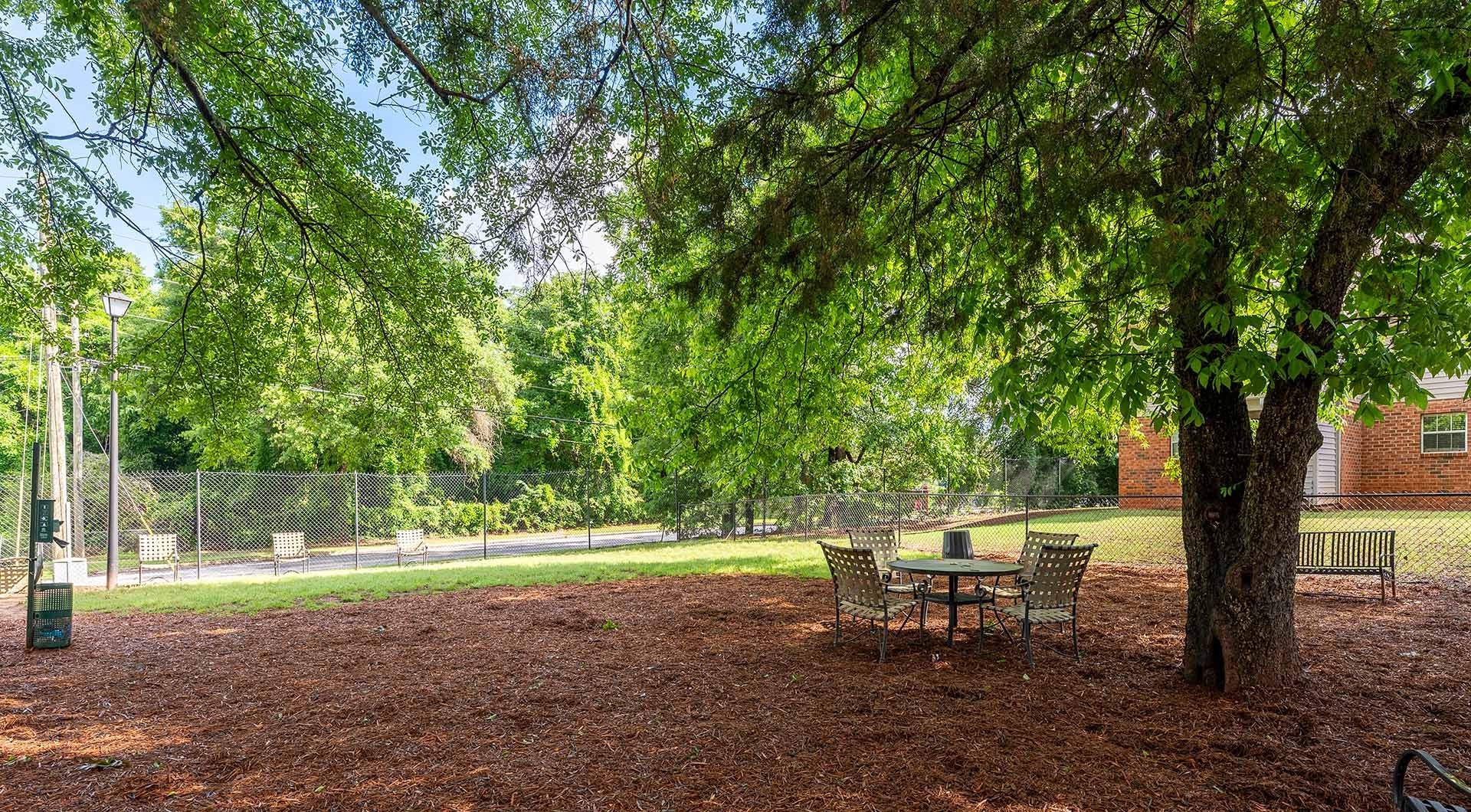 A park with a table and chairs under a tree.