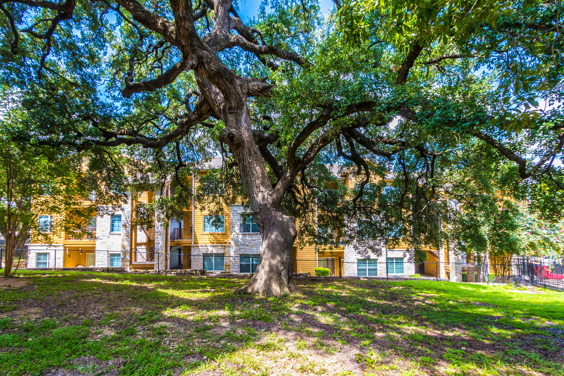 Circle S Apartments Apartments In Austin Tx