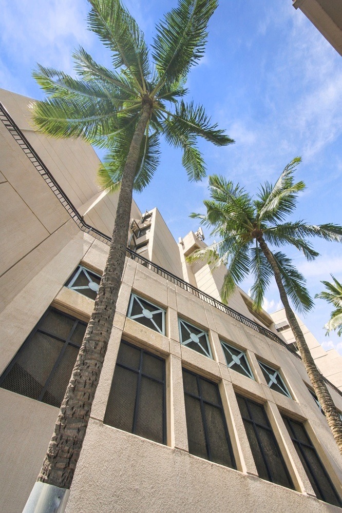 A tall palm tree stands in front of a building with a blue sky in the background.