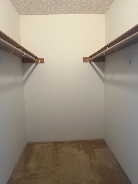 A small, empty room with a carpeted floor and two shelves on the wall.
