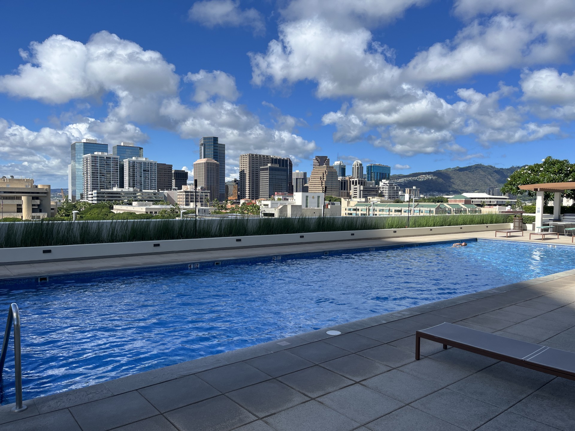 A pool with a city skyline in the background.