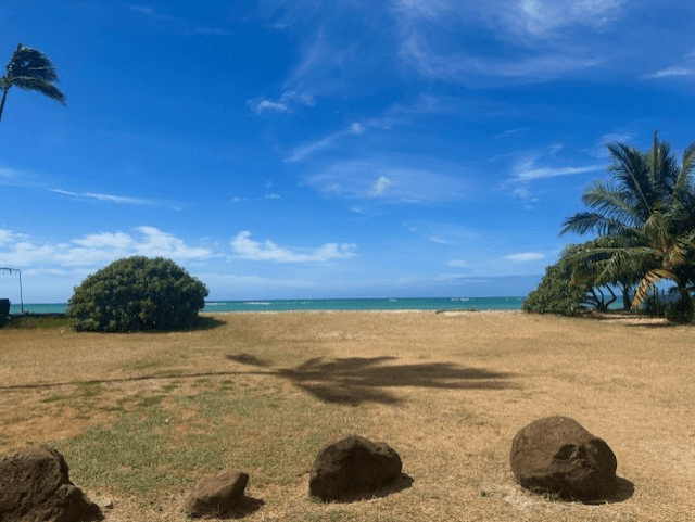 A beach scene with rocks and palm trees under a blue sky.