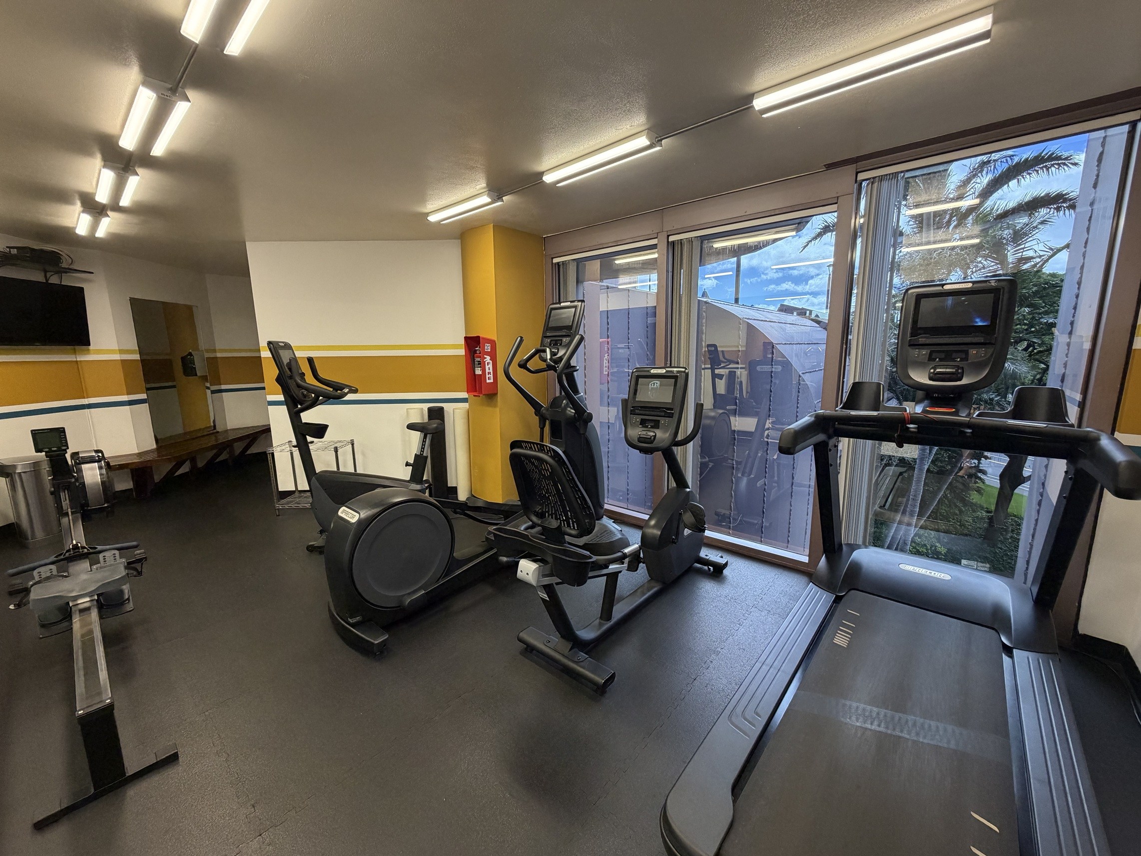 A gym with treadmills, exercise bikes, and other equipment.