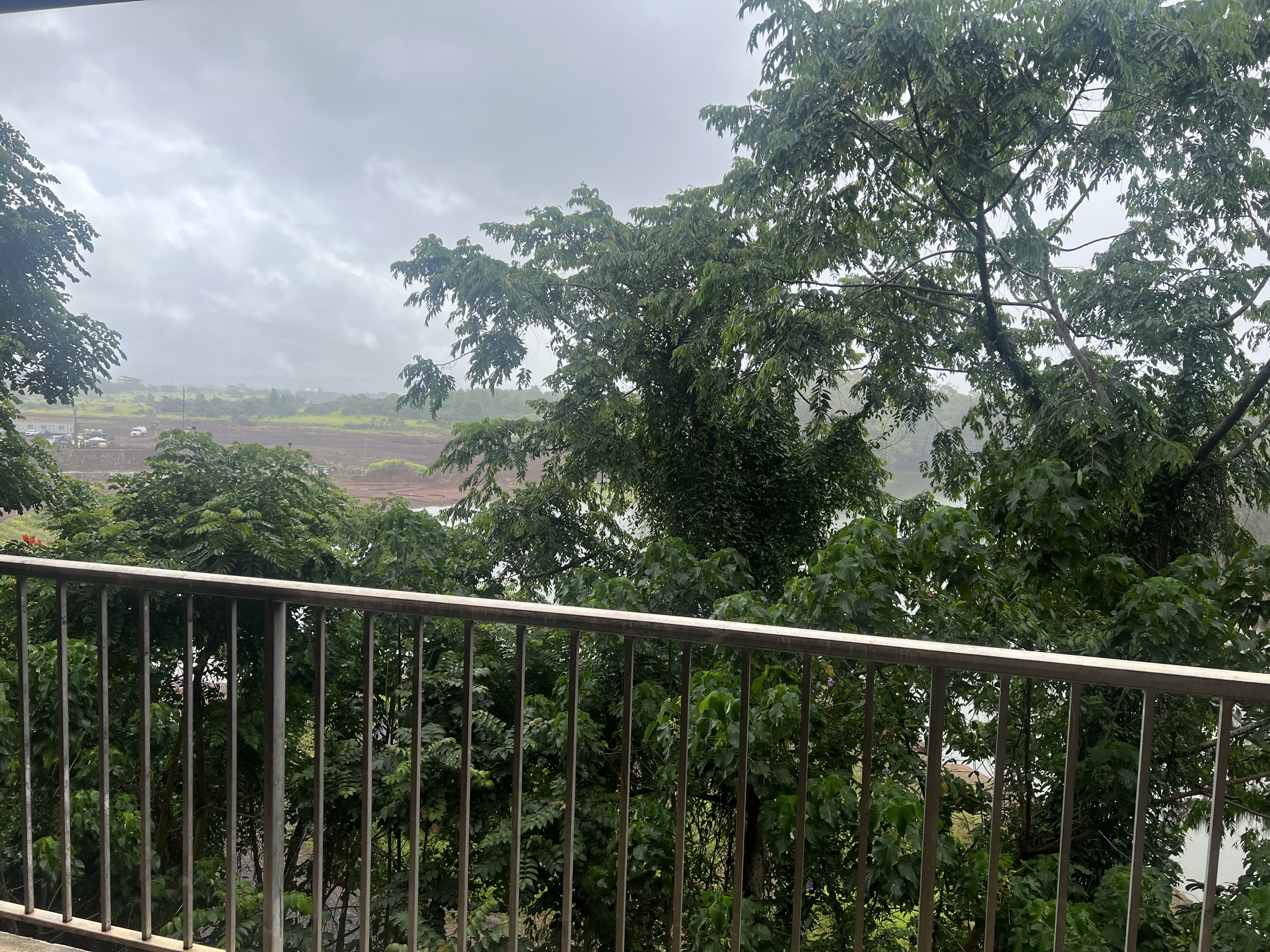 A rainy day view from a balcony.