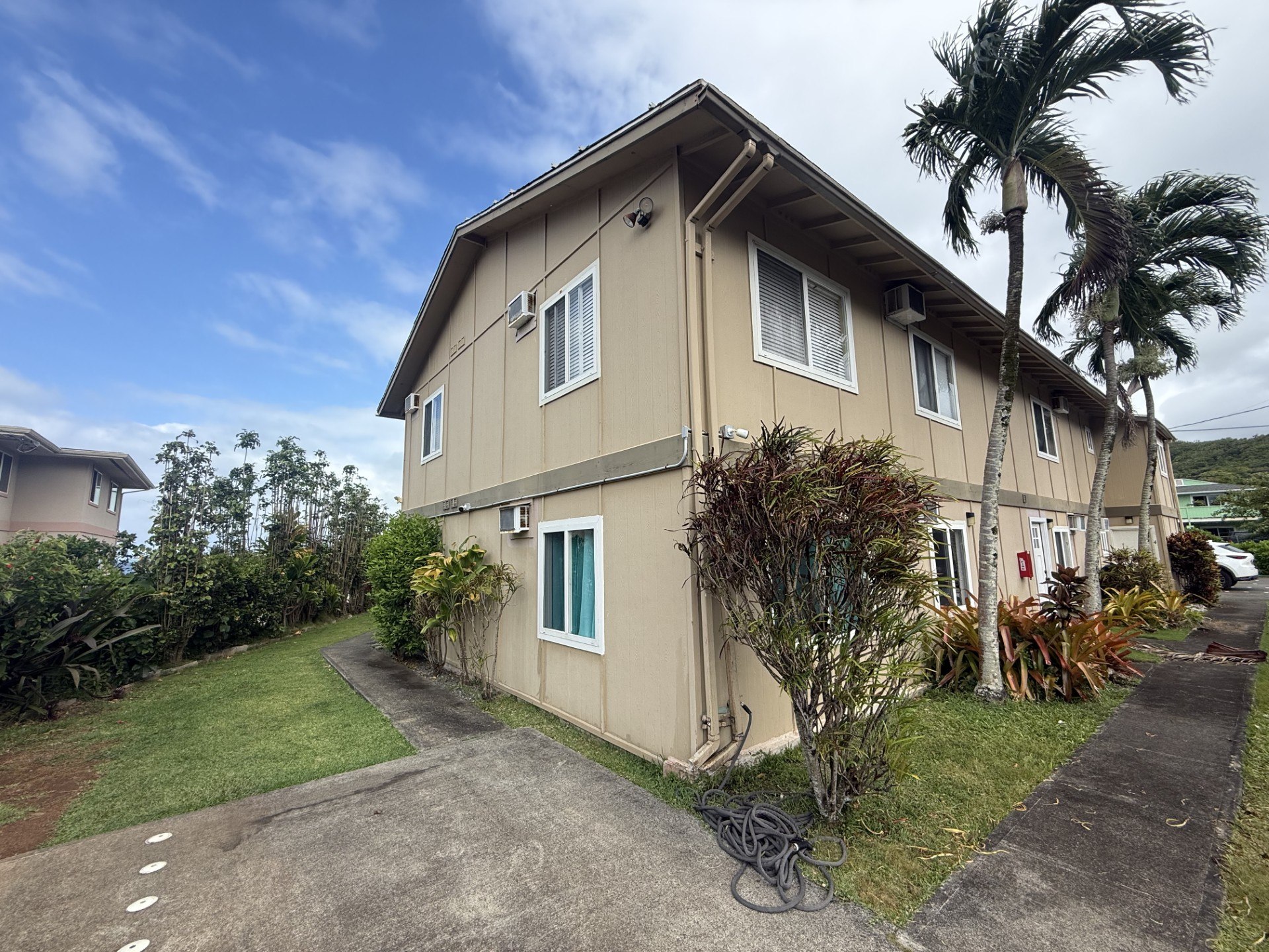 A beige house with a green window and a palm tree in front.