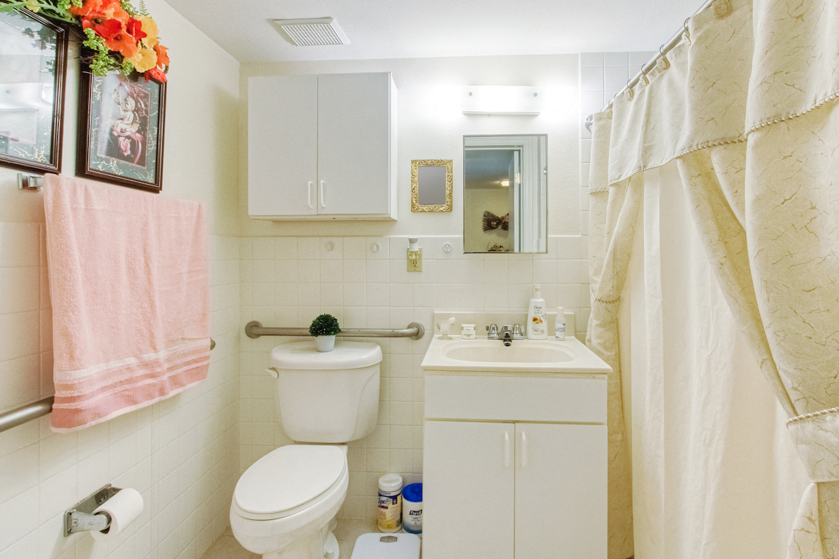 bathroom with vanity, shower, toilet, grab bars, and ample lighting