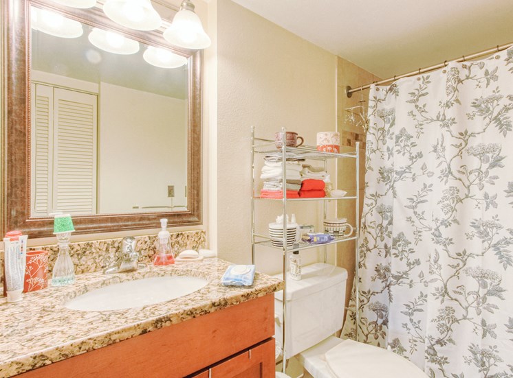 bathroom with large granite vanity, lighting, toilet, and shower