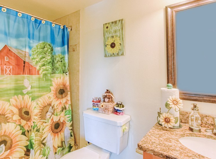 bathroom with toilet, granite vanity, and shower with colorful shower curtain