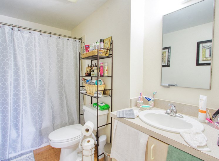 model bathroom with vanity, mirror, shower, toilet, lighting