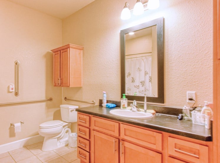 bathroom with ample cabinetry, large vanity, lighting, mirror, toilet, and grab bars