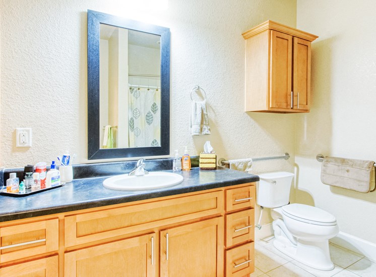 bathroom with large vanity, toilet, grab bars, and lots of cabinetry