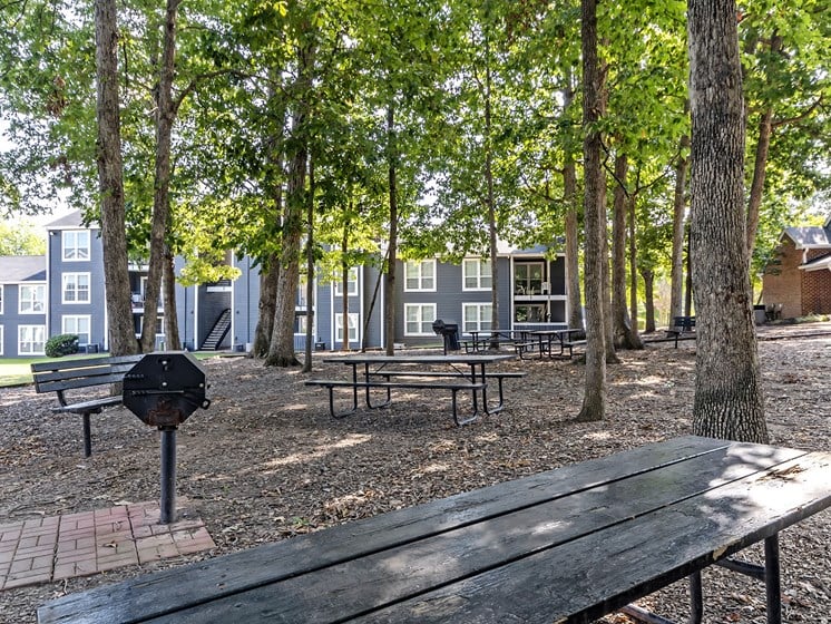 Grilling and Picnic area