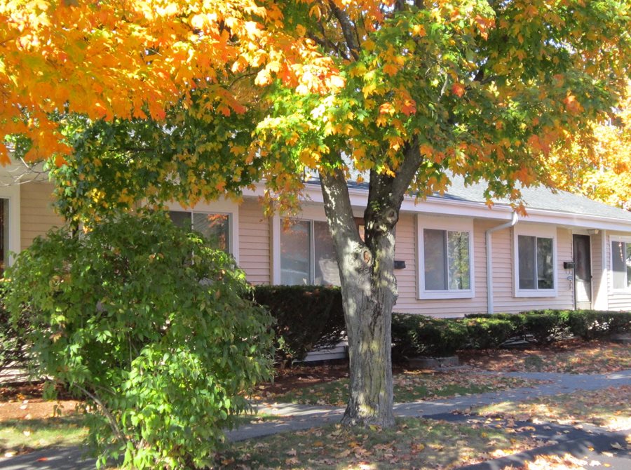 Gallery Photo 14