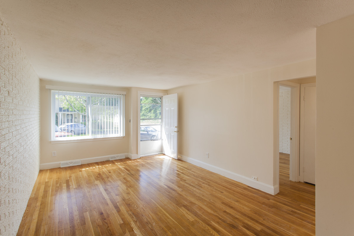 Gallery Photo 4
