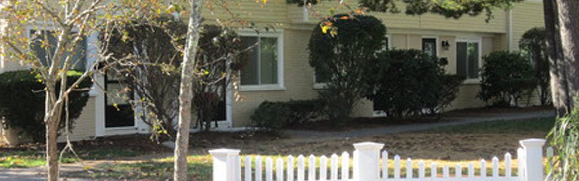 Gallery Photo 4