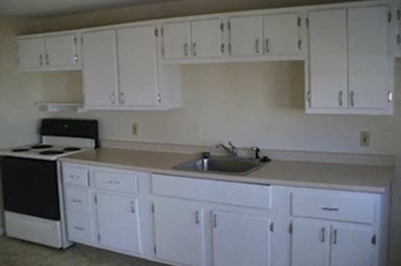 Gallery Photo 5