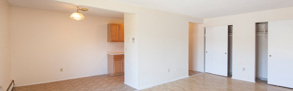 Gallery Photo 5