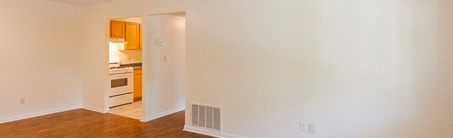 Gallery Photo 5