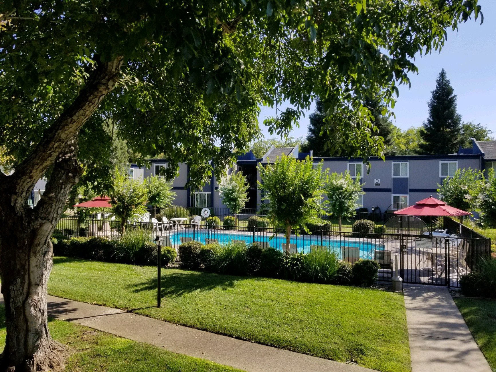 Swimming Pool at Forest Park apts | Chico, CA