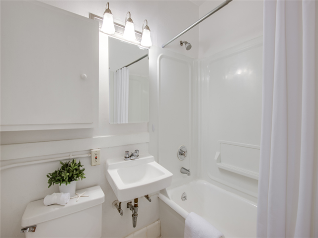 Gallery Photo 10