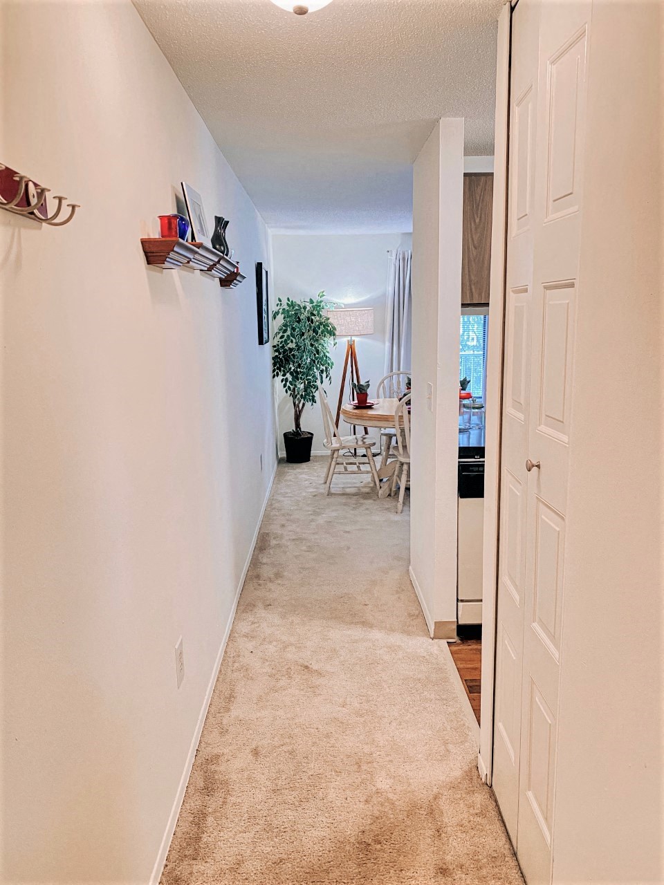 Gallery Photo 2