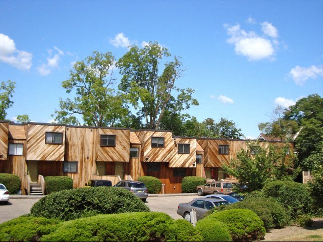 Gallery Photo 4