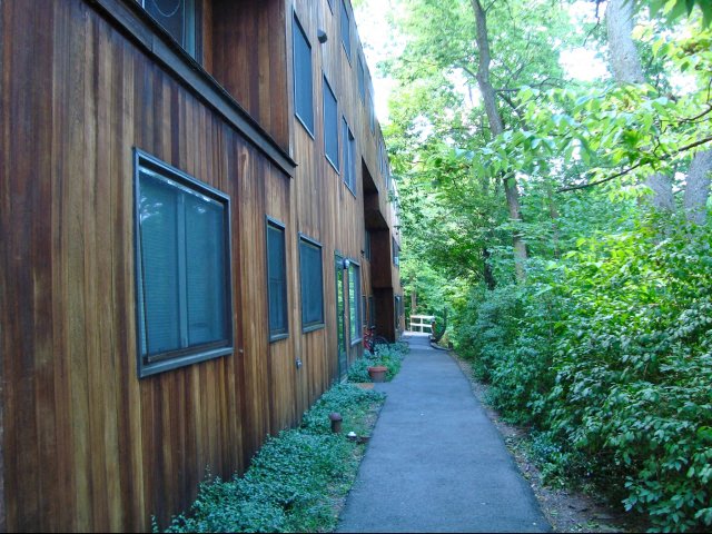 Gallery Photo 2