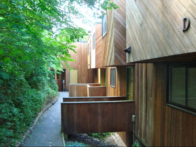 Gallery Photo 5