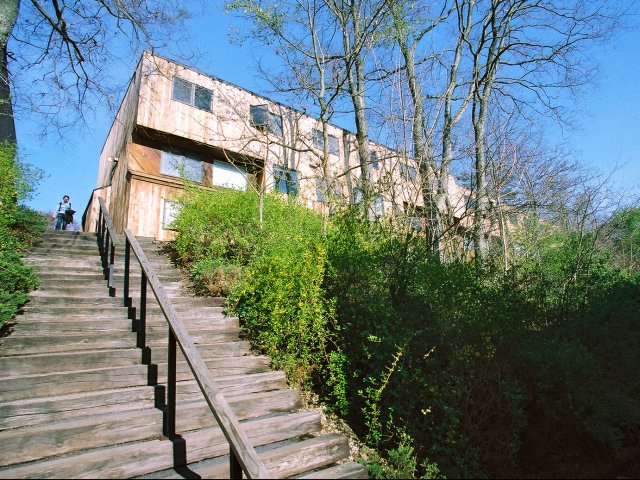 Gallery Photo 3
