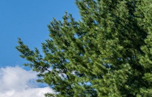 Hidden Lake Apartments Apartments in Stow, OH