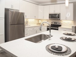 Image for 310 Old River Trail - Element Oakwood