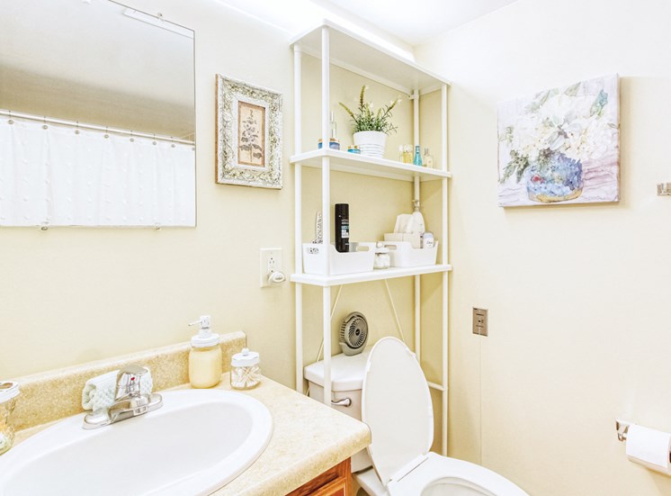 bathroom with sink vanity, toilet, and mirror, and model decor