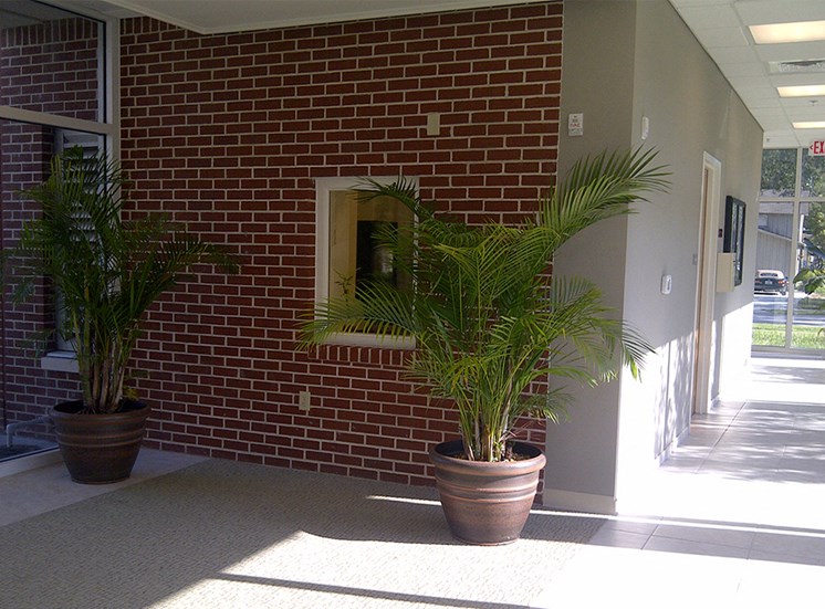 walkway with large windows and potted plants