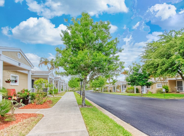 Well-kept community with lush landscaping and neat sidewalk