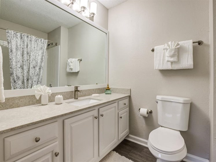 Bathroom With Extra Storage Space at Crestmont at Thornblade, Greenville, SC, 29615